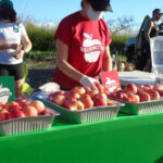 Foodservice Trade Shows/ Culinary Events